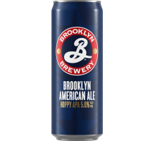 Пиво светлое BROOKLYN American Ale нефильтрованное пастеризованное 5%, 0.45л, Россия, 0.45 L